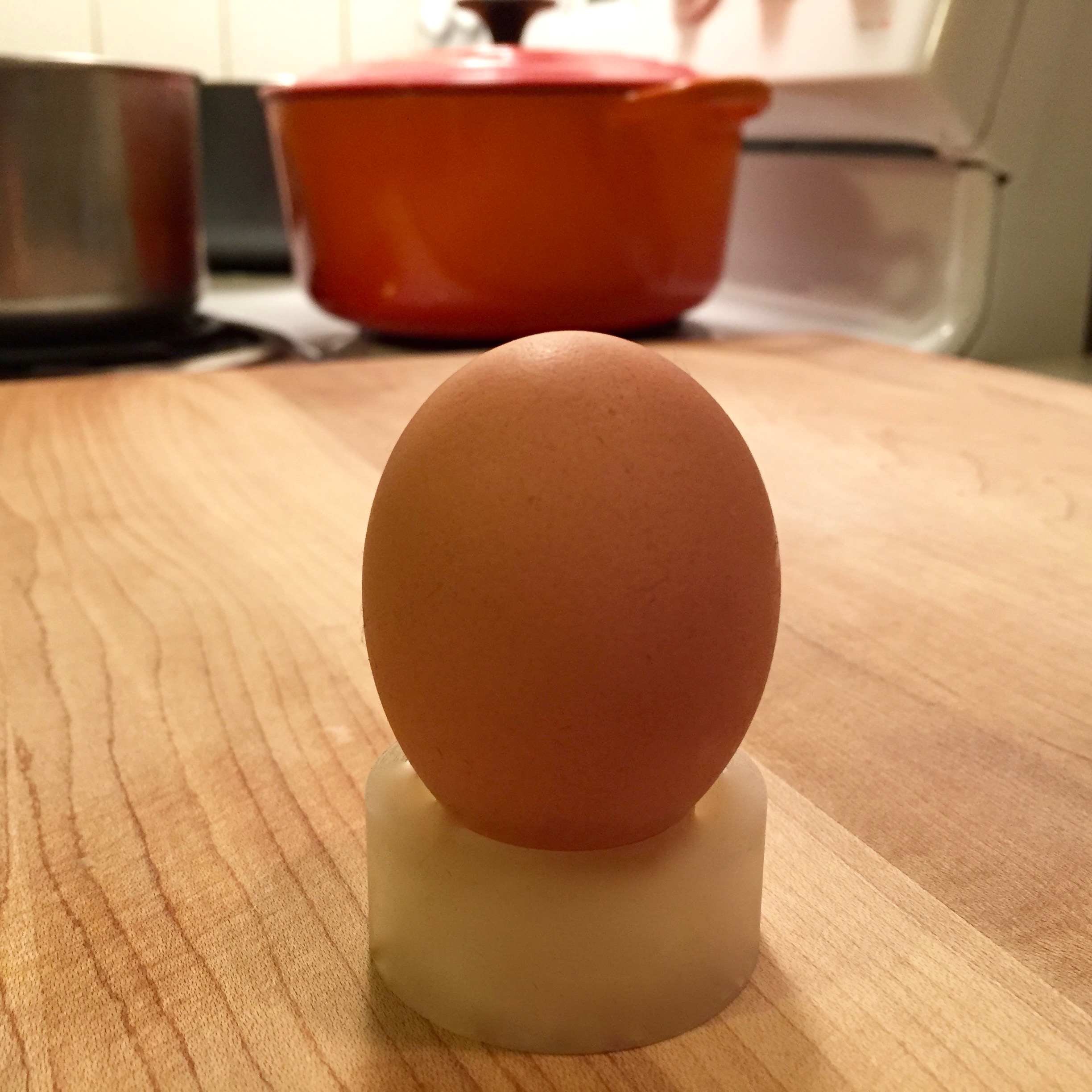 Egg-position